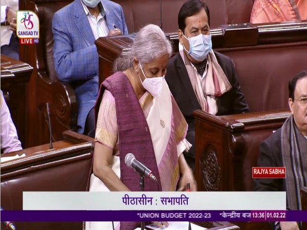 Union Finance Minister Nirmala Sitharaman (Photo credit: Sansad TV)