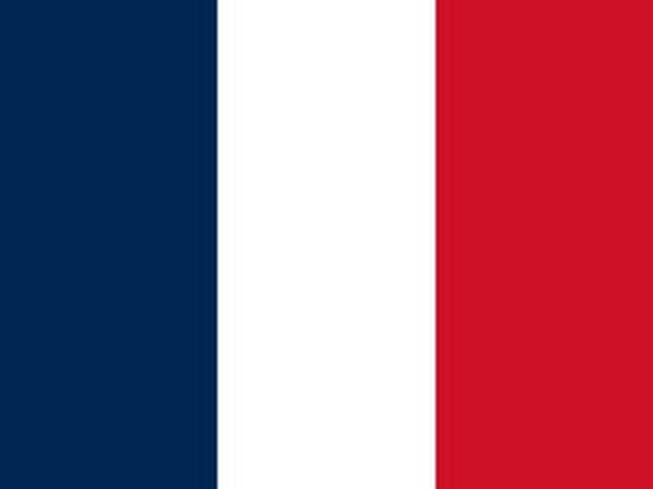 The French Flag 