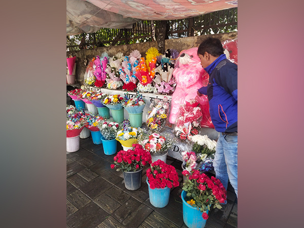 Flower shop in Kamla Nagar, Delhi