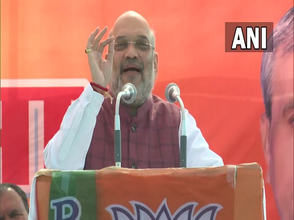 BJP leader and Union Home Minister Amit Shah (Photo/ANI)