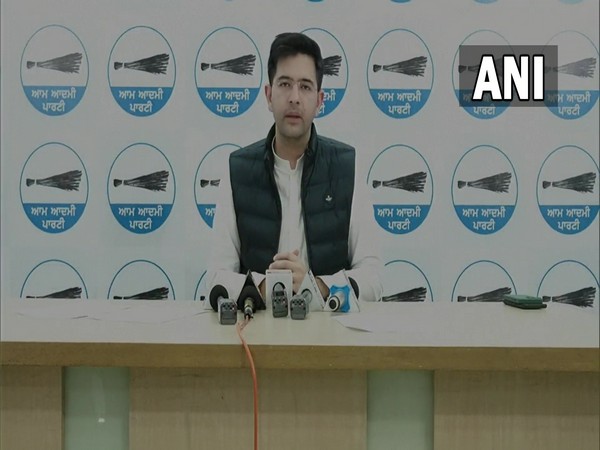 AAP leader Raghav Chadha (Photo/ANI) 