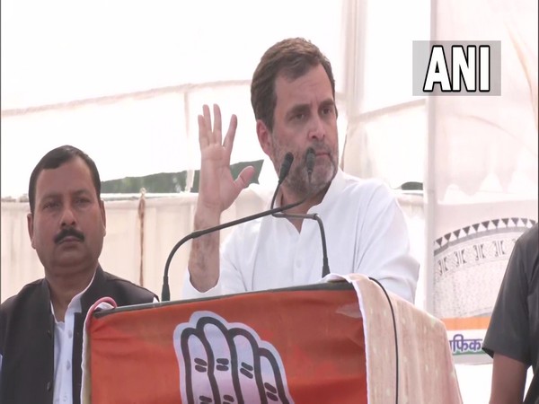 Congress leader Rahul Gandhi in Amethi (Photo/ANI)