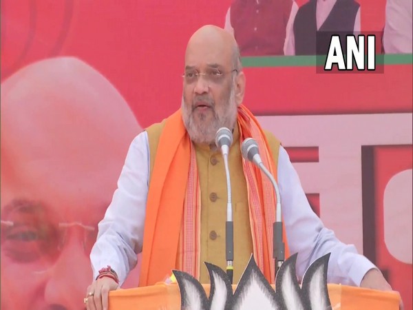 Union Home Minister Amit Shah (Photo/ANI)