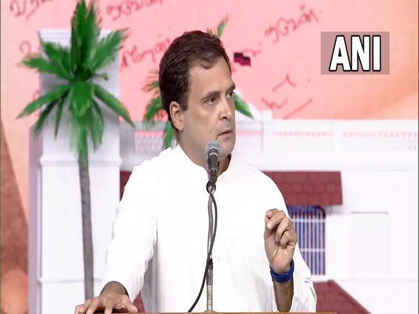 Congress leader Rahul Gandhi in Chennai (Photo/ANI)