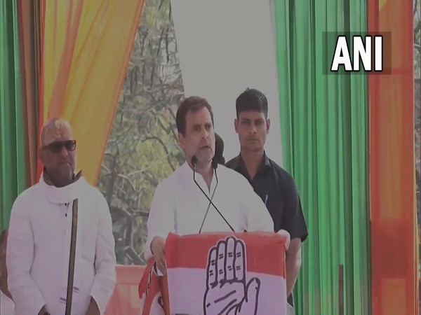 Congress leader Rahul Gandhi at Varanasi (Photo/ANI)