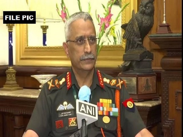 Army Chief General Manoj Mukund Naravane (File Pic)