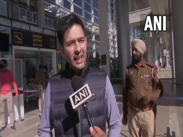 AAP Punjab co-in charge Raghav Chadha (Photo/ANI)