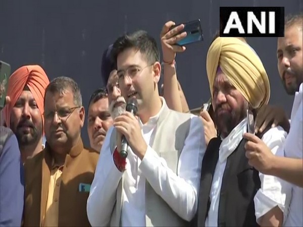 AAP leader Raghav Chadha in Chandigarh (Photo/ANI)