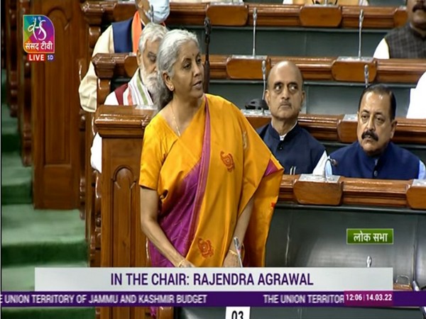 Union Finance Minister Nirmala Sitharaman in Lok Sabha
