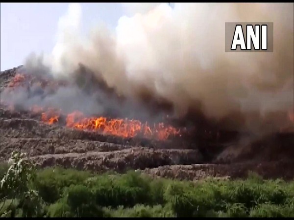 Fire breaks out in Delhi at dumping yard (Photo/ANI)
