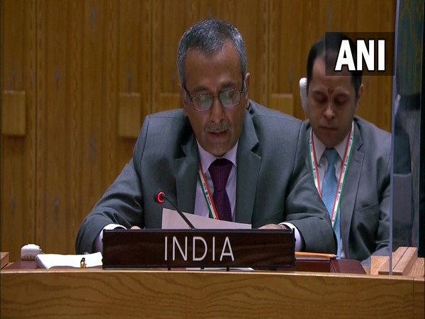 R Ravindra, Deputy Permanent Representative at UNSC
