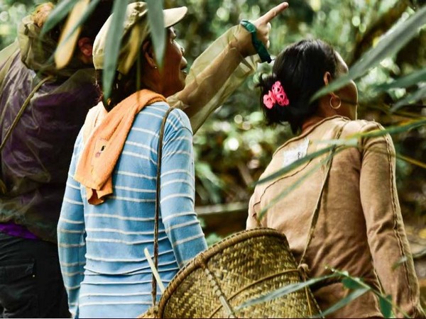 Women's management practices and knowledge played an important role in sustaining forests [Photo/UNCCD]