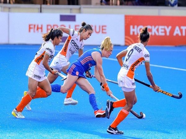 India vs Netherlands (Photo: Twitter/Hocley India)