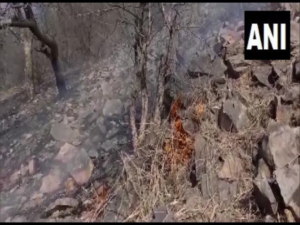 Massive fire broken out in forests of Sariska Tiger Reserve in Alwar district. (Photo/ANI)