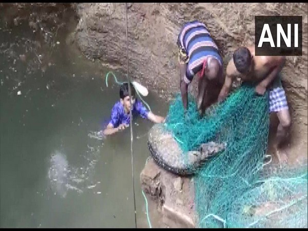The forest department rescued a spotted deer from an open well (Photo/ANI)
