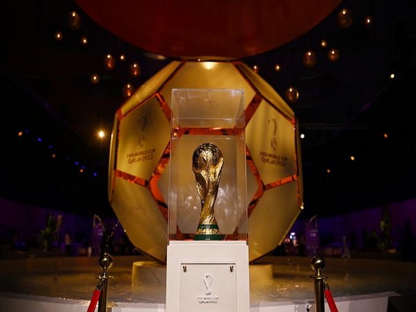 FIFA World Cup trophy (Photo: Twitter/FIFA World Cup)