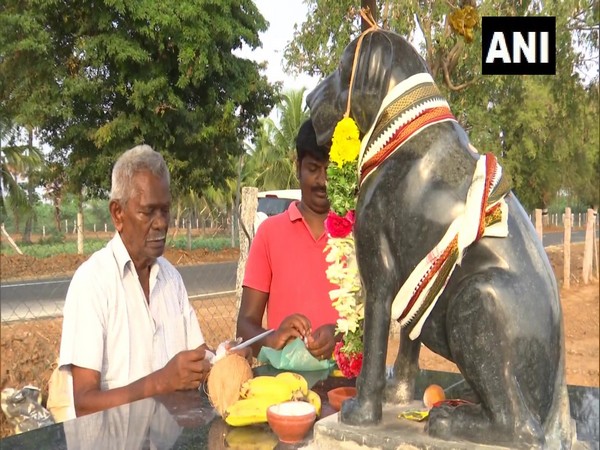 Dog temple in Tamil Nadu's Sivaganga (Photo/ANI)