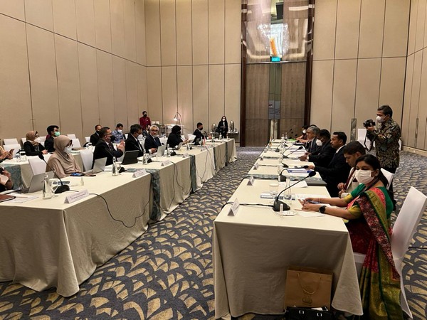 7th round of India-Indonesia Foreign Office Consultations (Photo/MEAIndia)