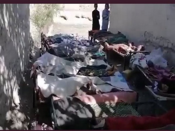 Corpses of Afghan people killed in Pakistani airstrikes (Twitter: Habib Khan)