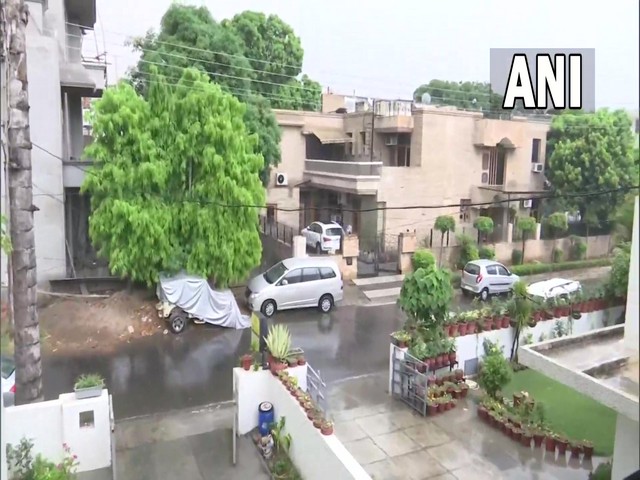 A visual from Chandigarh (Photo/ANI)