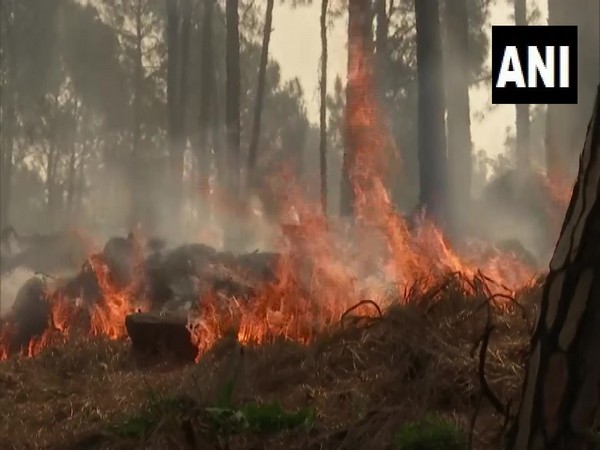 Visuals of forest fire broke out in Rajouri district (Photo/ANI)