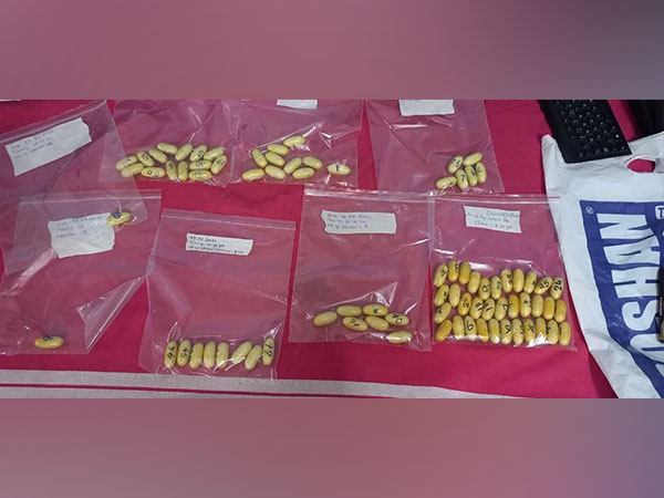 Recovered drug capsules 