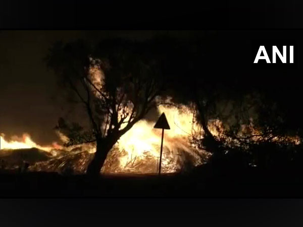 Visual from Maharashtra's Ballarpur (Photo/ANI)