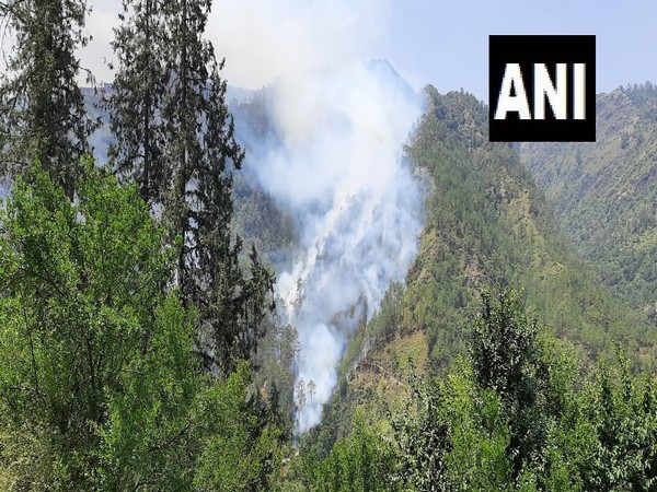 Visual from Poabo forest area in Shimla that caught fire on Sunday (Photo/ANI)