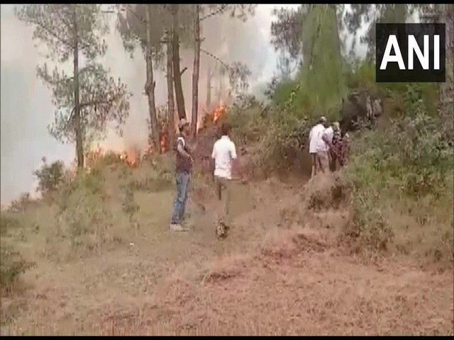 Forest fire near LoC in J-K's Poonch (Photo/ANI)