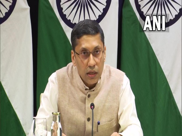 Ministry of External Affairs spokesperson Arindam Bagchi (File Image)