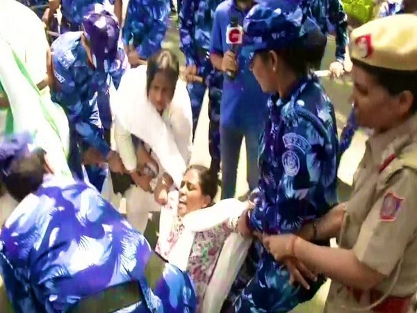 Congress MP S Jothimani being detained by Delhi Police personnel (Photo/Twitter)