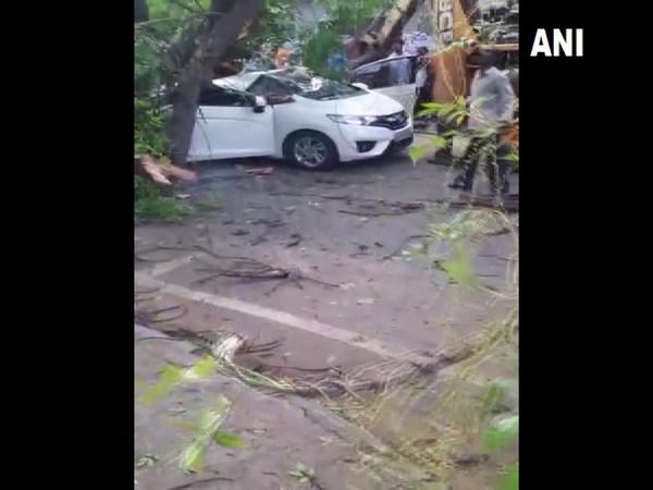 Visuals from the spot in Chennai (Photo/ANI)