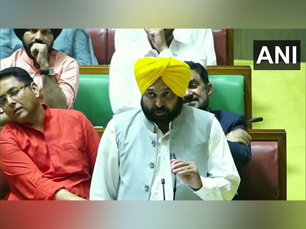 Punjab CM Bhagwant Mann (Photo/ANI)