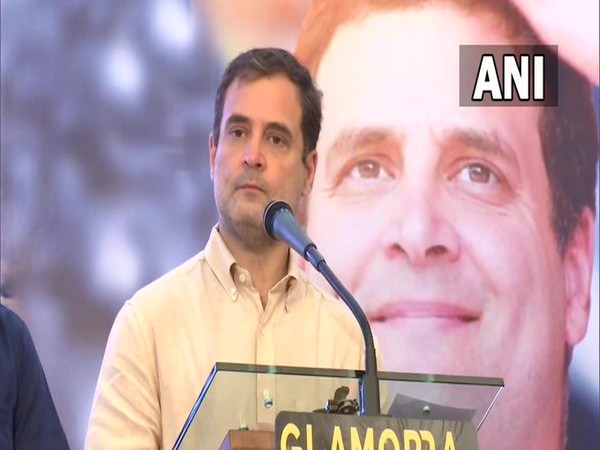 Senior Congress leader Rahul Gandhi 