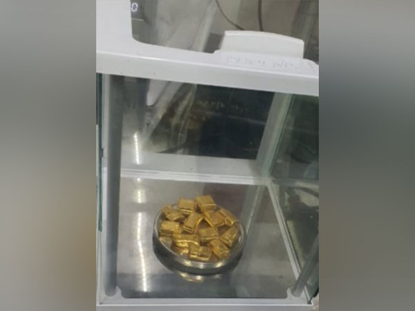 Cut peieces of Gold bar Photo Credit :ANI