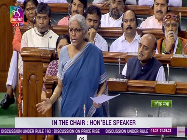 Union Finance Minister Nirmala Sitharaman  at Lok Sabha