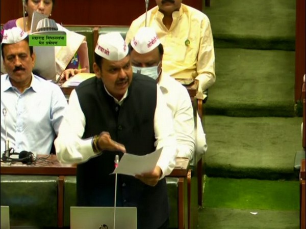 Devendra Fadnavis (Photo/Maharashtra Assembly) 