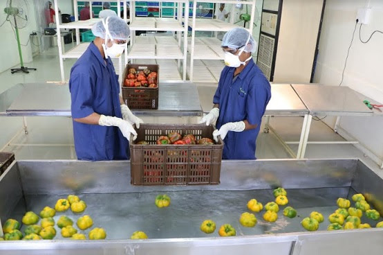 FarmLink Collection Centre