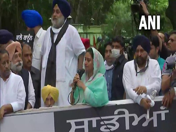 SAD leader and former Union minister Harsimrat Kaur Badal in famers' protest in Delhi