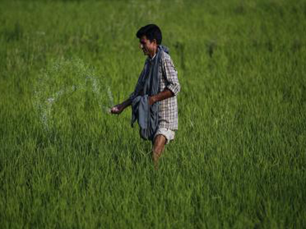 Representative image. 