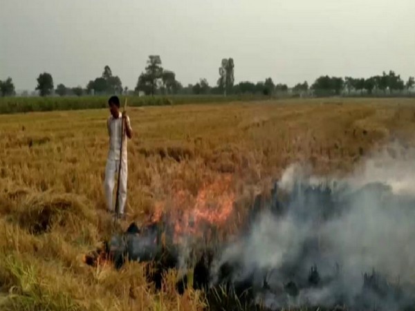 The Agriculture Department has identified 600 incidents of stubble burning in Fatehabad.