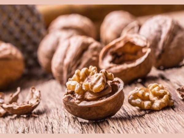 Walnuts demands increase this festive session, Chilean walnuts ruling the market