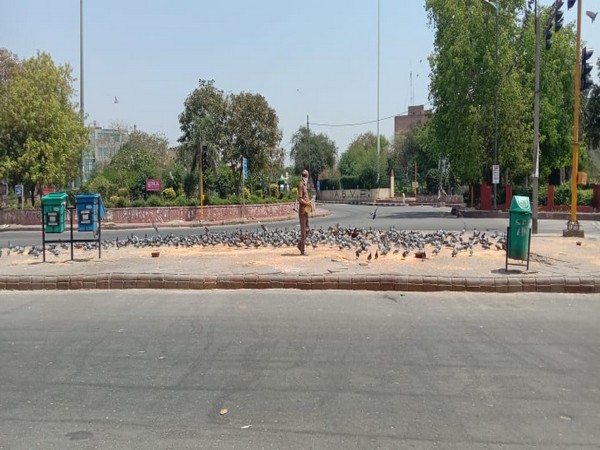 Kamlesh feeding pigeons amid lockdown in New Delhi. Photo/ANI