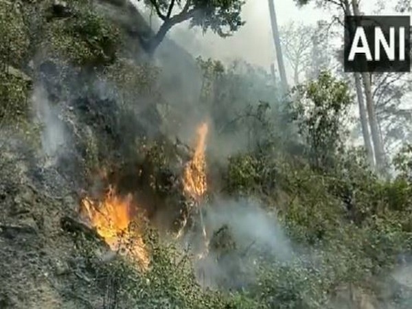 Visuals of fire in Daya Dhar forest area (Photo/ANI)