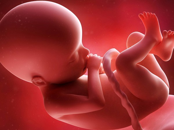 Gurugram: Pregnant woman made to wait, foetus aborted in toilet