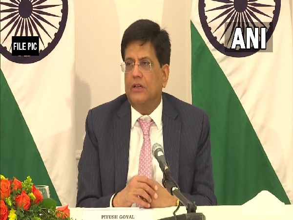 Union Minister Piyush Goyal (File Photo)