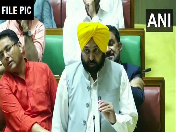Punjab CM Bhagwant Mann (Photo/ANI)
