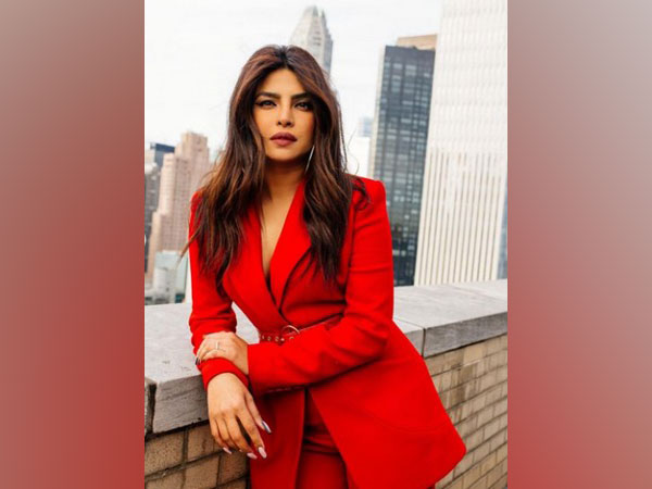 Priyanka Chopra Jonas (Image source: Instagram)
