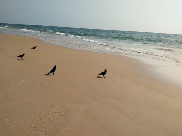 Calangute beach, Goa