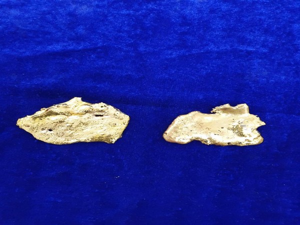 Seized gold at Chennai Airport on Saturday. Photo/ANI